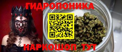 spice Владимир