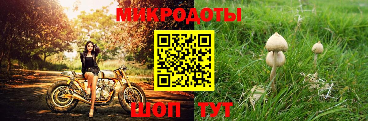Галлюциногенные грибы Magic Shrooms Губкин