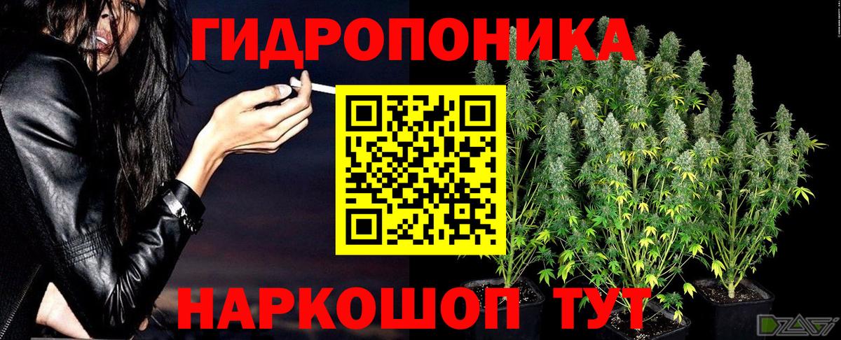 Каннабис MAZAR Губкин